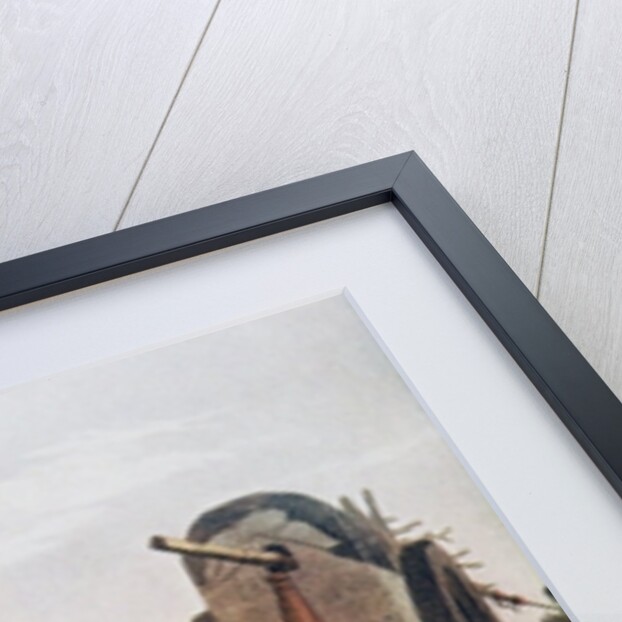 Gauchos of Tucuman, reproduced from Vidal's 'Picturesque Illustrations of Buenos Aires and Montevideo', pub. in 1820 by American School