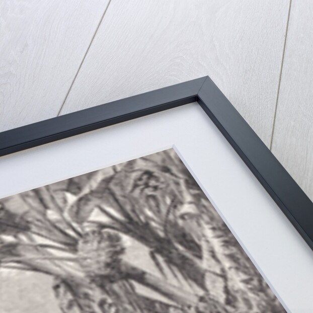 House of a wealthy India-rubber collector by American School