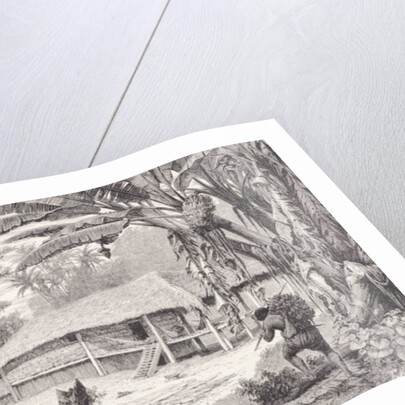 House of a wealthy India-rubber collector by American School