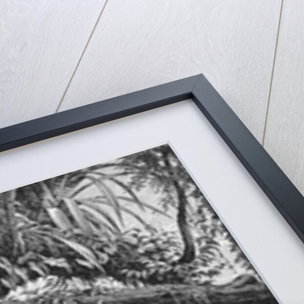 Caripuna Indians with tapir by American School