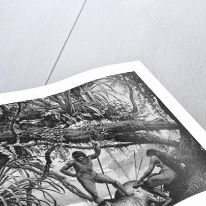 Caripuna Indians with tapir by American School