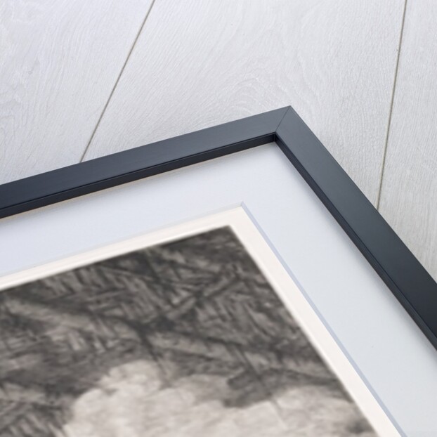 India-rubber manufacture on the banks of the Madeira by American School