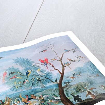 Tropical birds in a landscape by Jan van the Elder Kessel