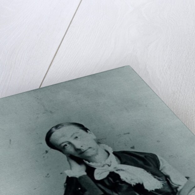 Susan Warner 1891 by Anonymous