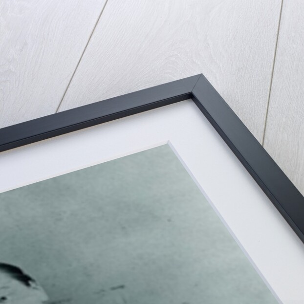 Susan Warner 1891 by Anonymous