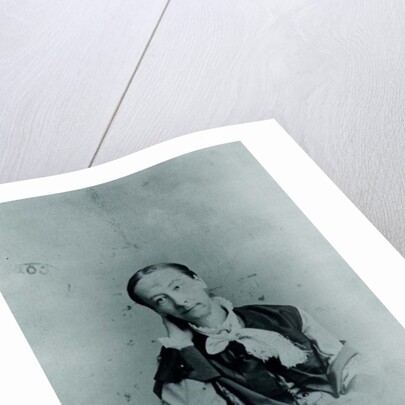 Susan Warner 1891 by Anonymous