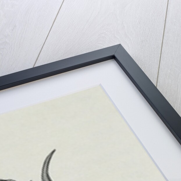 Melanesian sea deity by English School