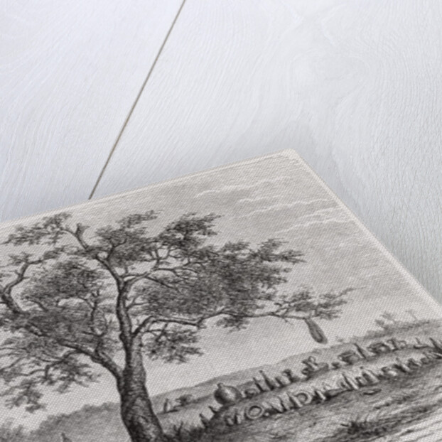 Cemetery and sacred tree in Mbinda by English School