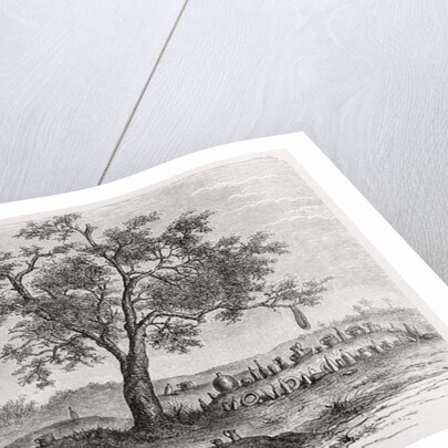 Cemetery and sacred tree in Mbinda by English School