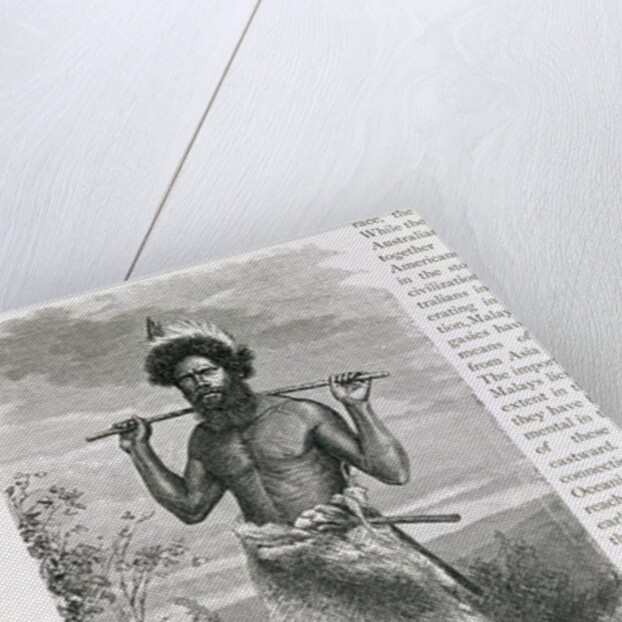 Man of New South Wales by English School