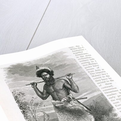 Man of New South Wales by English School