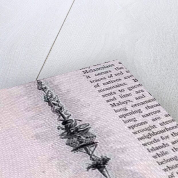 New Caledonian hut by English School