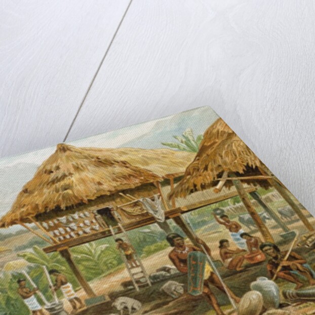 Igorrote farm in Luzon, Philippines by Hans Meyer