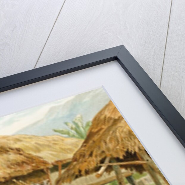 Igorrote farm in Luzon, Philippines by Hans Meyer