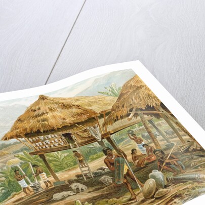 Igorrote farm in Luzon, Philippines by Hans Meyer