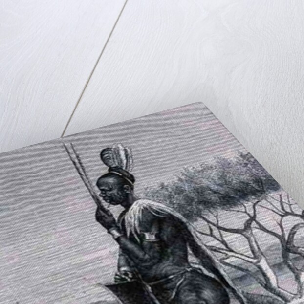 A tattooed Shuli negro with his weapons by Richard Buchta