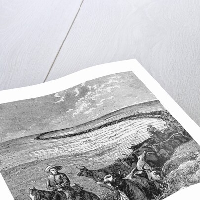 A Trail in the Great Plains by American School