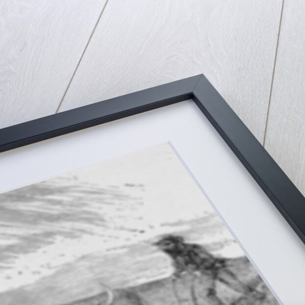 The Prairie Sod Plow by (after) American School