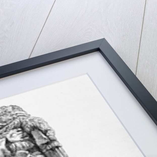 Statue of the Goddess Coatlicue by P. Sellier