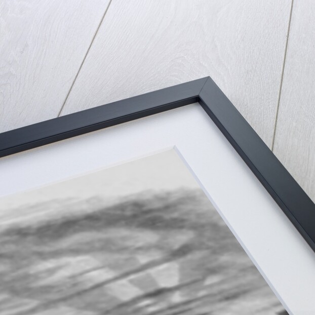 The Twin Mountains from the Melozikakat Mouth by H. W. Elliot