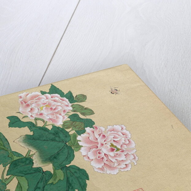 Bee and peony by Ichimiosai by Anonymous