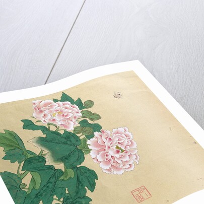 Bee and peony by Ichimiosai by Anonymous