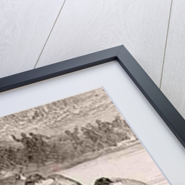 A Coracle Race on the Severn at Ironbridge, Shropshire by English School