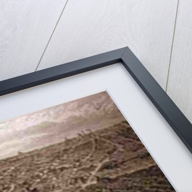 Bird's-Eye View of Liverpool from the Mersey with all the New Buildings by English School