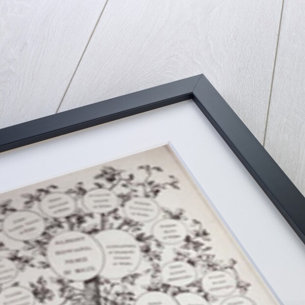 Key to Genealogical Tree, Showing the Descendants of Her Majesty Queen Victoria by English School