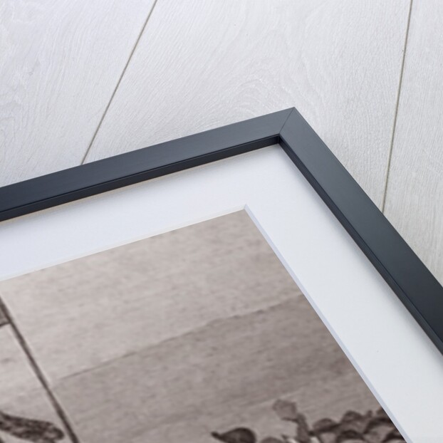 Demonstration on Mr Parnell's Estate, Avondale, Wicklow: The Effigy of the Last Landlord by English School