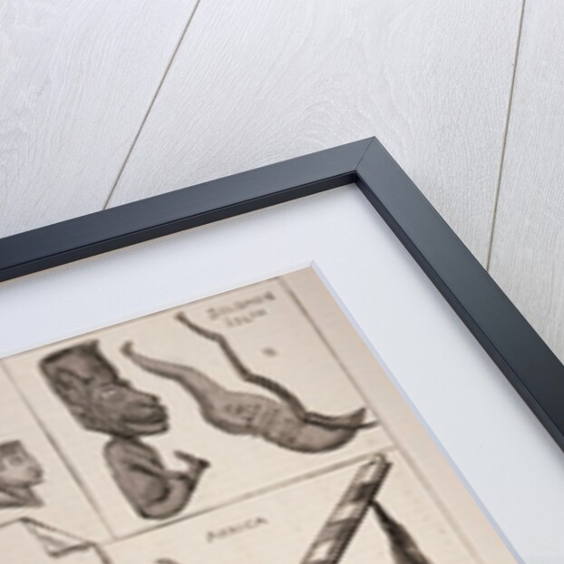 Pipes of all Peoples by English School