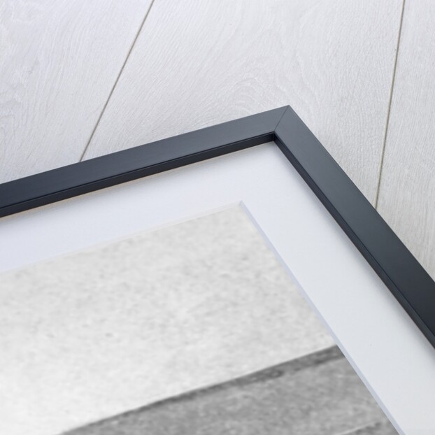 Ten Minutes Before the Great Rush, on the South Line of the Indian School Reserve, Near Arkansas City, 16th September 1893 by American School