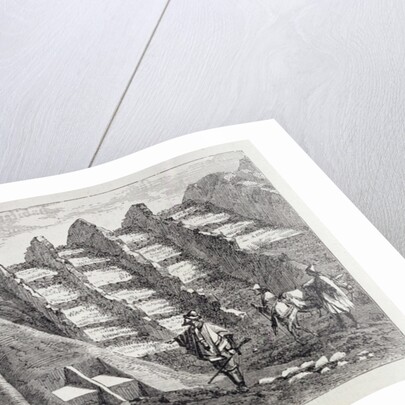 The Inca's Chair by English School