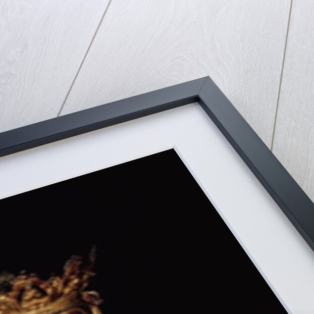 Seated Buddha by Anonymous