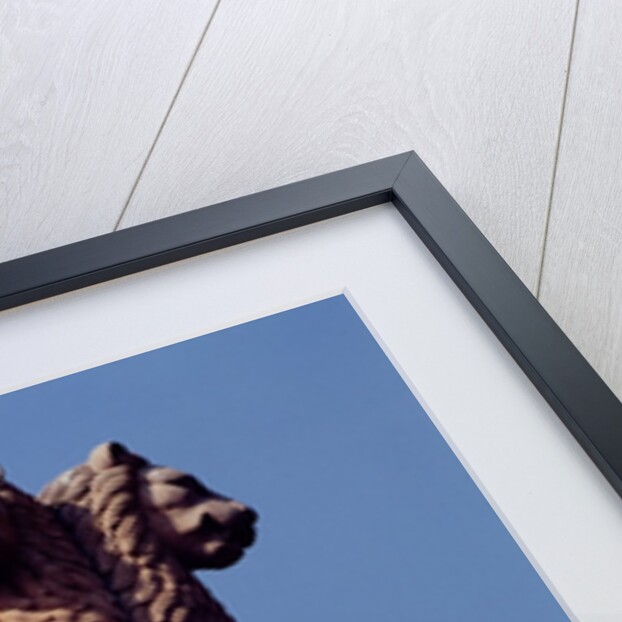 Detail from an Ashoka Pillar by Anonymous