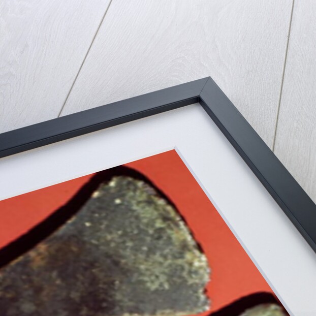 Flat Axes, prehistoric by Anonymous