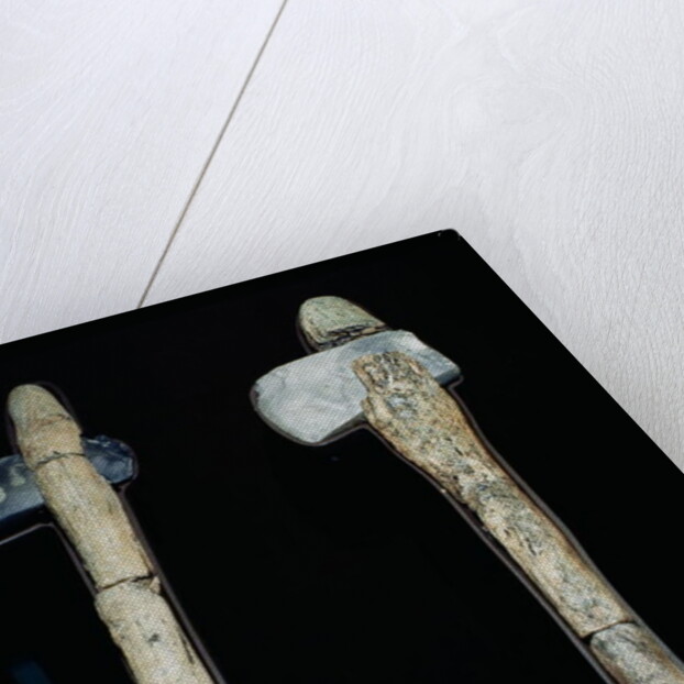 Stone Axes, prehistoric by Anonymous