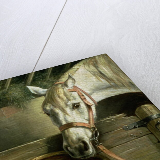 Horse and kittens, 1890 by Moritz Muller