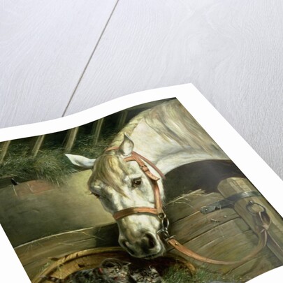 Horse and kittens, 1890 by Moritz Muller