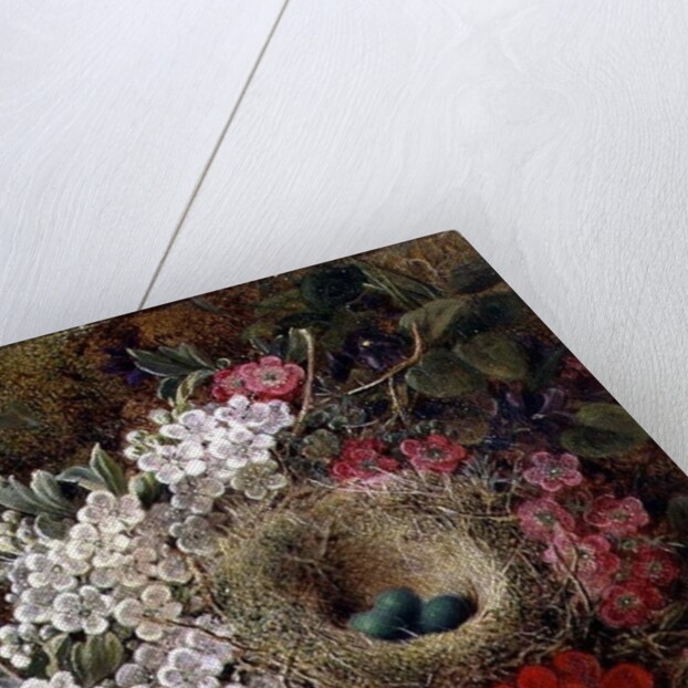 A bird's nest and blossom on a mossy bank by George Clare