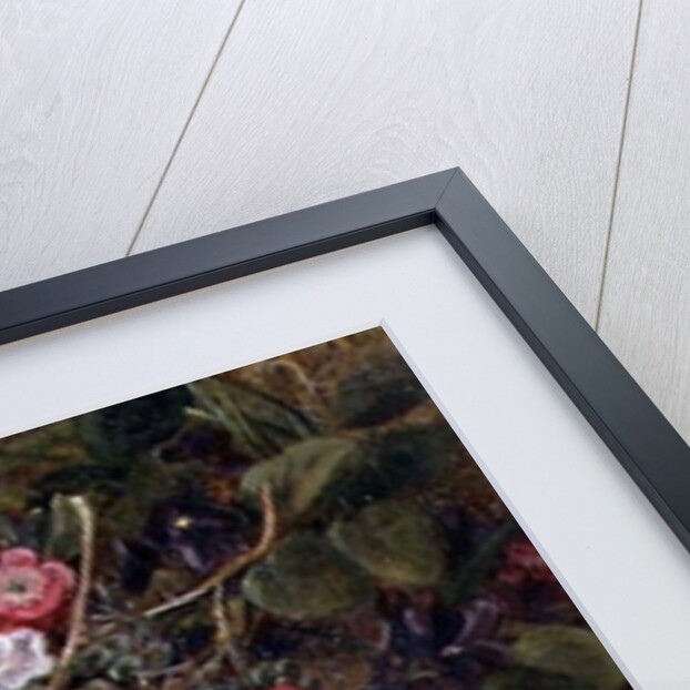 A bird's nest and blossom on a mossy bank by George Clare