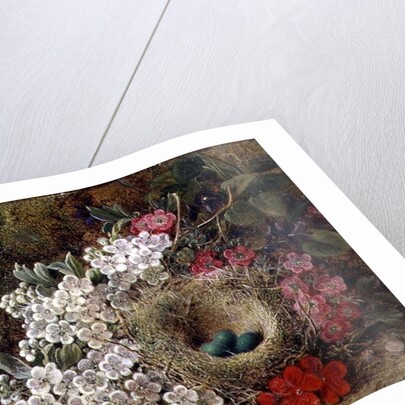 A bird's nest and blossom on a mossy bank by George Clare