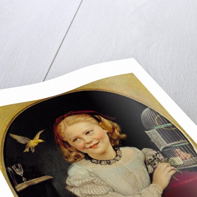 Food for the canary by Philipp Hoyoll