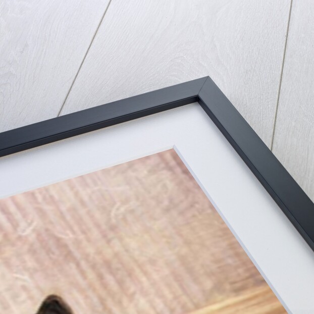 Waiting to Play, a Cairn terrier with a ball by Frank Paton