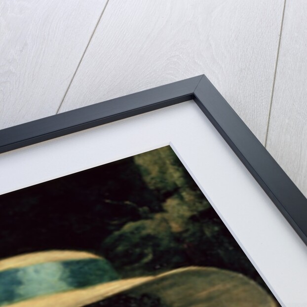 Lavinia Bingham, 2nd Countess Spencer, 1785-86 by Joshua Reynolds