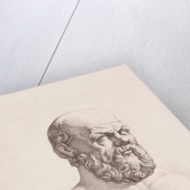 Portrait of Socrates engraved by B.Barloccini, 1849 by C.C Perkins