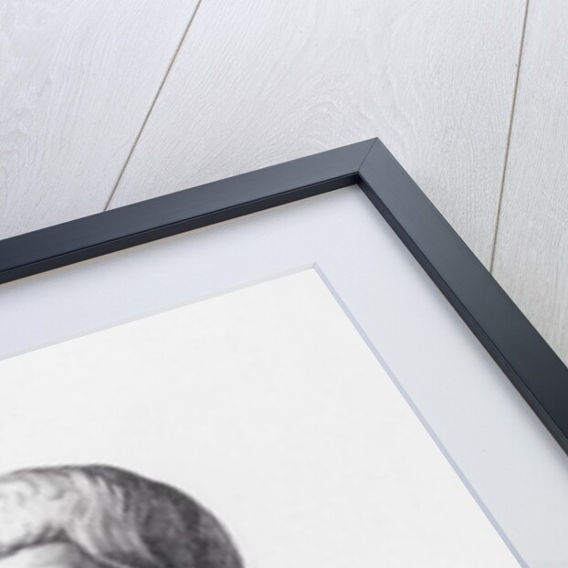 Portrait of Pythagoras engraved by B.Barloccini, 1849 by C.C (after) Perkins