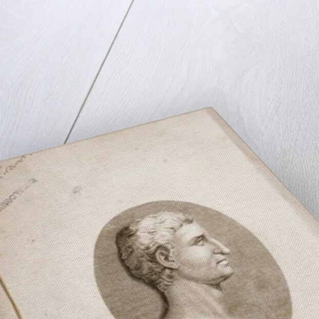 Portrait of Gaius Crispus Sallust engraved by Antonio Verico by Italian School