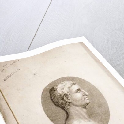 Portrait of Gaius Crispus Sallust engraved by Antonio Verico by Italian School