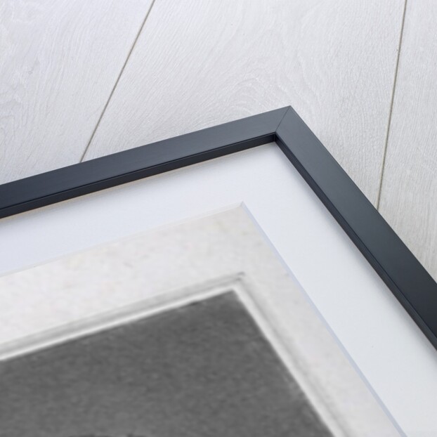 Portrait of Thomas Paine from Volume I of 'The Political Works of Thomas Paine', pub. by W.T Sherwin, 1 May 1819 by English School